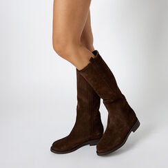 Bottes en daim brun foncé avec détails élégants, Primadonna, 261080605CMMORO036, 002a