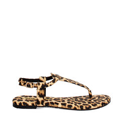 Sandales basses femme léopard, Primadonna, 254992895EPLEOP035, 001a