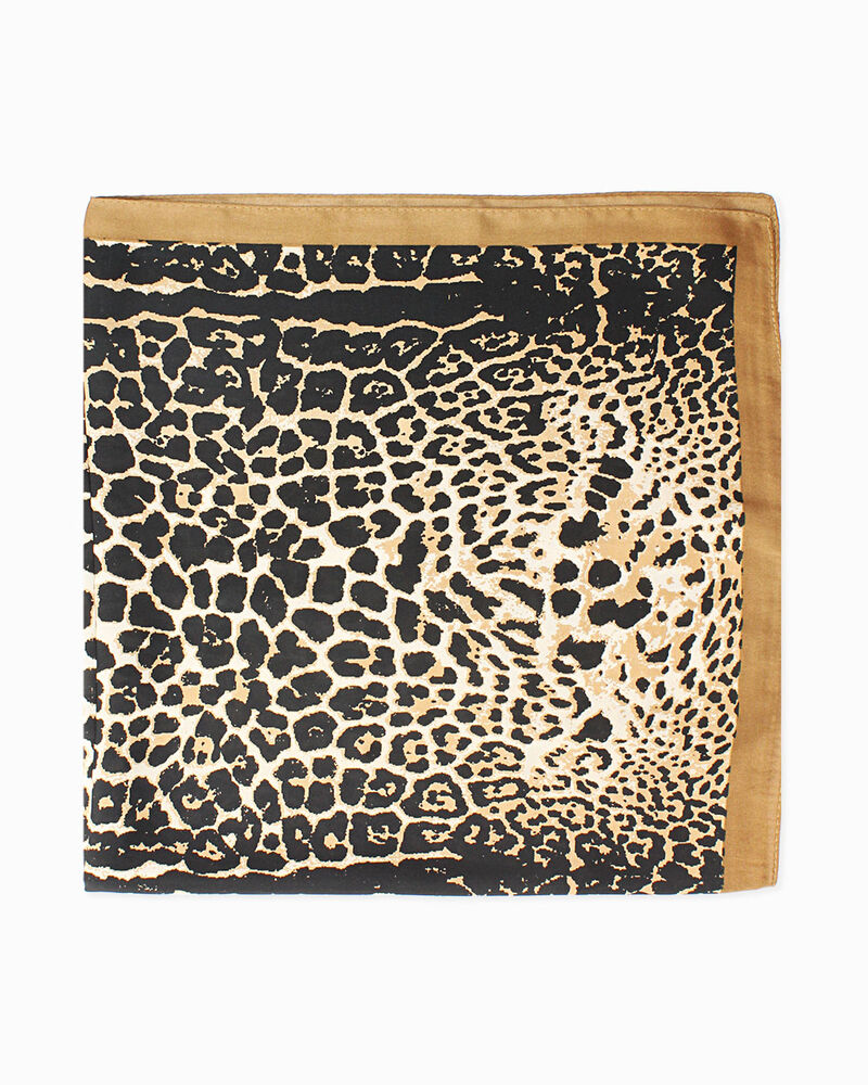 null image number null