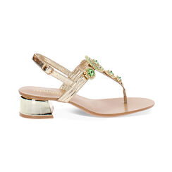 Sandale à petit talon femme or-vert, Primadonna, 254946606LMORVE035, 001 preview