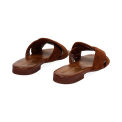 Sandali bassi donna marroni in camoscio, Primadonna, 257239352CMMARR036, 004 preview