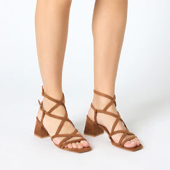 Sandalo donna cognac in microfibra, tacco largo 5,5 cm, Primadonna, 254947147MFCOGN035, 002 preview