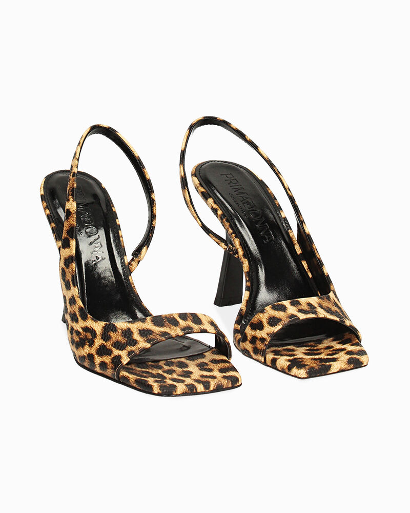 null image number null