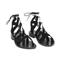 Sandalias bajos para mujer negras en ante, Primadonna, 25B814004CMNERO036, 003 preview