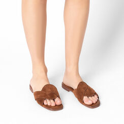 Sandalias bajas de mujer marrones de gamuza, Primadonna, 257239352CMMARR036, 002a