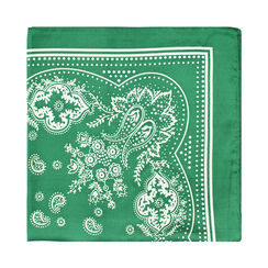 Foulard da donna verde a fantasia, Primadonna, 25B462303TSVERDUNI, 001 preview