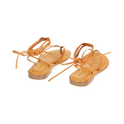 Sandalias planas mujer cognac, Primadonna, 254940813EPCOGN035, 004 preview