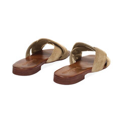 Sandales plates femme taupe en daim, Primadonna, 257239352CMTAUP036, 004 preview