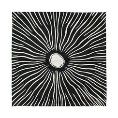 Foulard da donna nero-bainco, Primadonna, 25B462302TSNEBIUNI, 003 preview