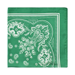 ACCESSORI FOULARD TESSUTO VERD, Primadonna, 25B462303TSVERDUNI, 001a