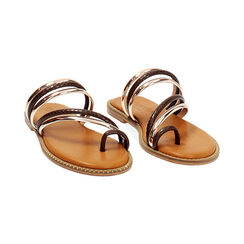 Sandales basses femme marron en python, Primadonna, 254965566PTMARR036, 003 preview