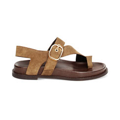 Sandali bassi donna taupe in camoscio, Primadonna, 25N151014CMTAUP036, 001 preview