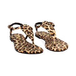 Sandali bassi donna leopard, Primadonna, 254992895EPLEOP035, 003 preview