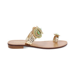 Sandales bas pour femme or vert en lamé, Primadonna, 254916842LMORVE035, 001 preview