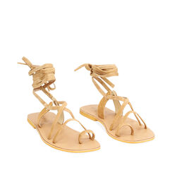 Sandali con lacci in pelle cognac, Primadonna, 236704151CMCOGN035, 002a