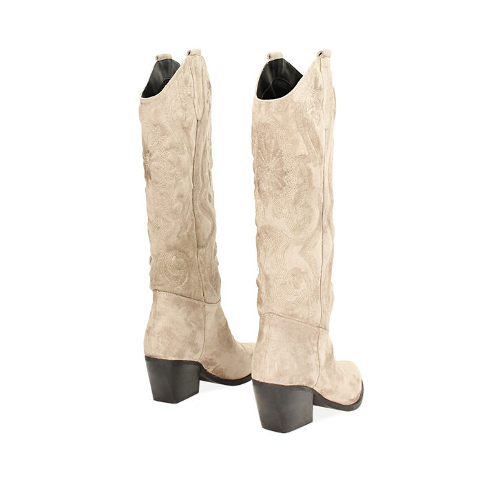 Stivali Texani Un Stivale O Uno Stivale Stivaletti Texani Camperos