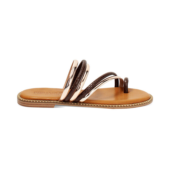 Sandales basses femme marron en python, Primadonna, 254965566PTMARR036