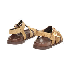 Sandales plates femme taupe en daim, Primadonna, 25N151001CMTAUP036, 004 preview
