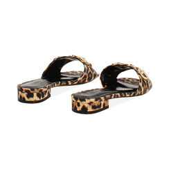 Ciabattine da donna leopardate con morsetto, Primadonna, 254951308EPLEOP035, 003 preview