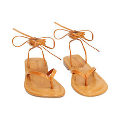 Sandalias planas mujer cognac, Primadonna, 254940813EPCOGN035, 003 preview