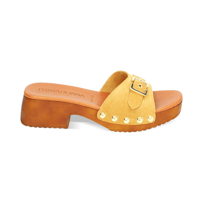Zuecos beige de ante, Primadonna, 234393856CMBEIG035