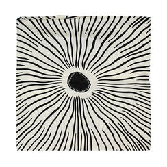 Foulard da donna bianco-nero, Primadonna, 25B462302TSBINEUNI, 003 preview
