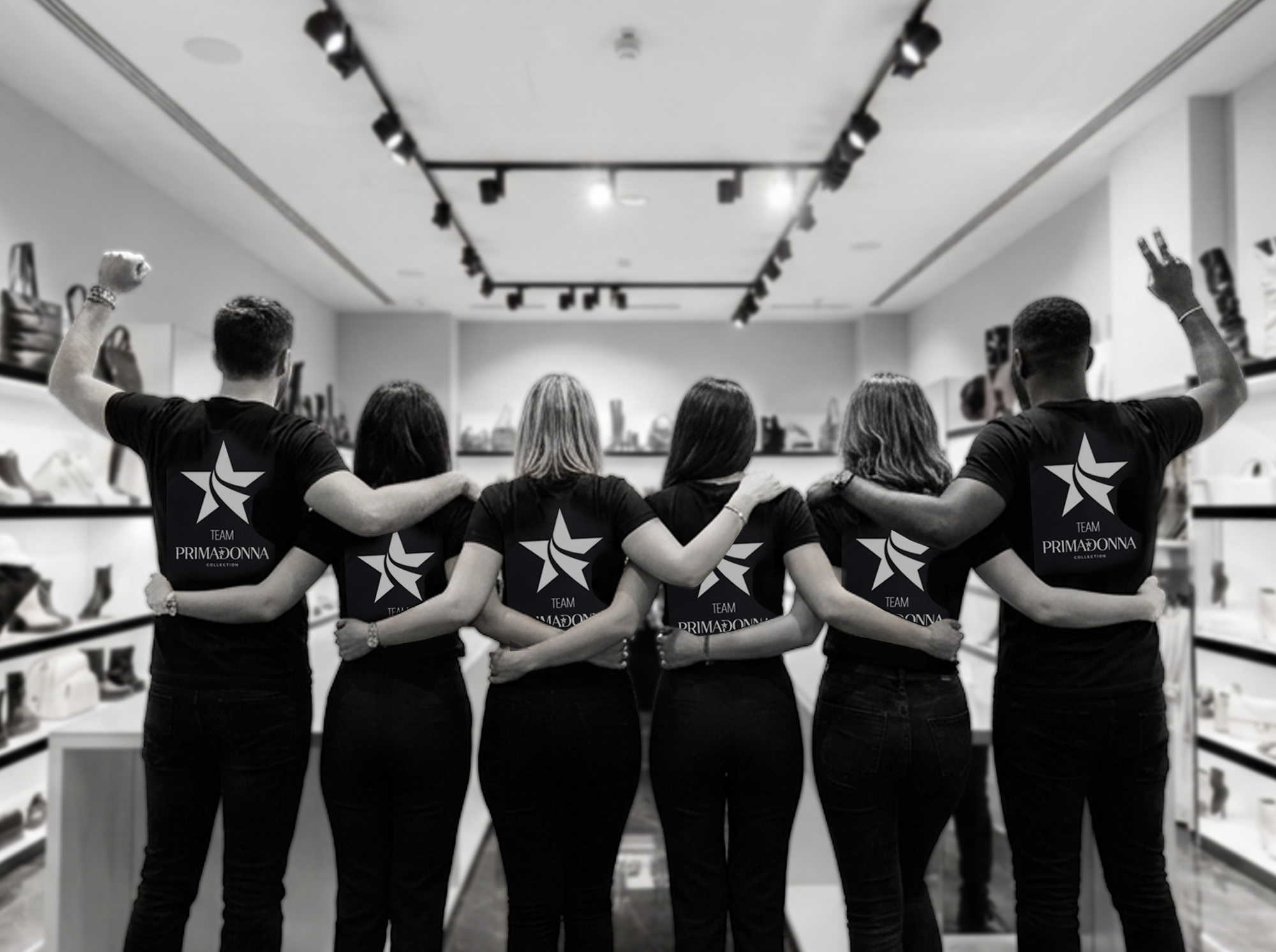 Team Primadonna Collection in store