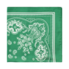 ACCESSORI FOULARD TESSUTO VERD