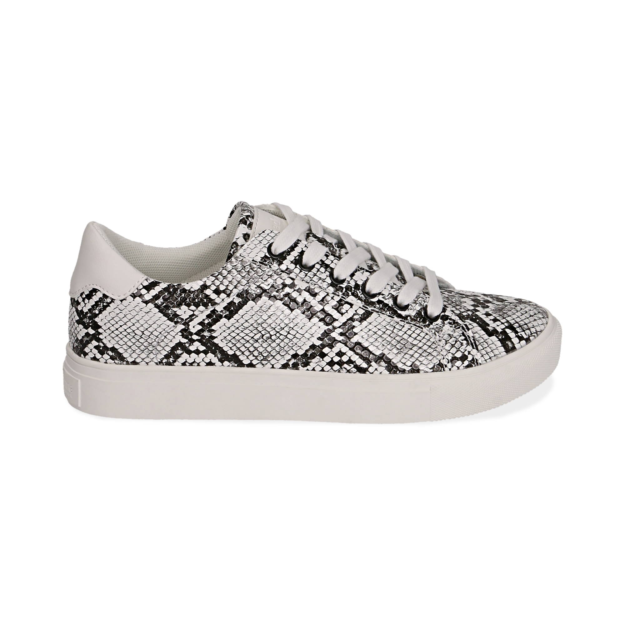 sneakers pitonate