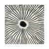 ACCESSORIES FOULARD FABRIC BINE