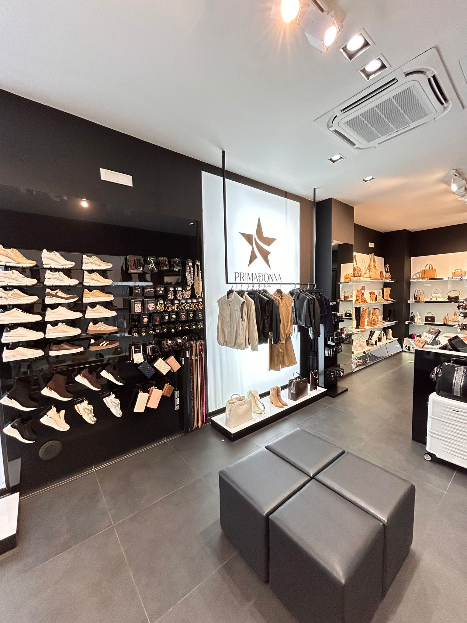 Primadonna Collection — 3