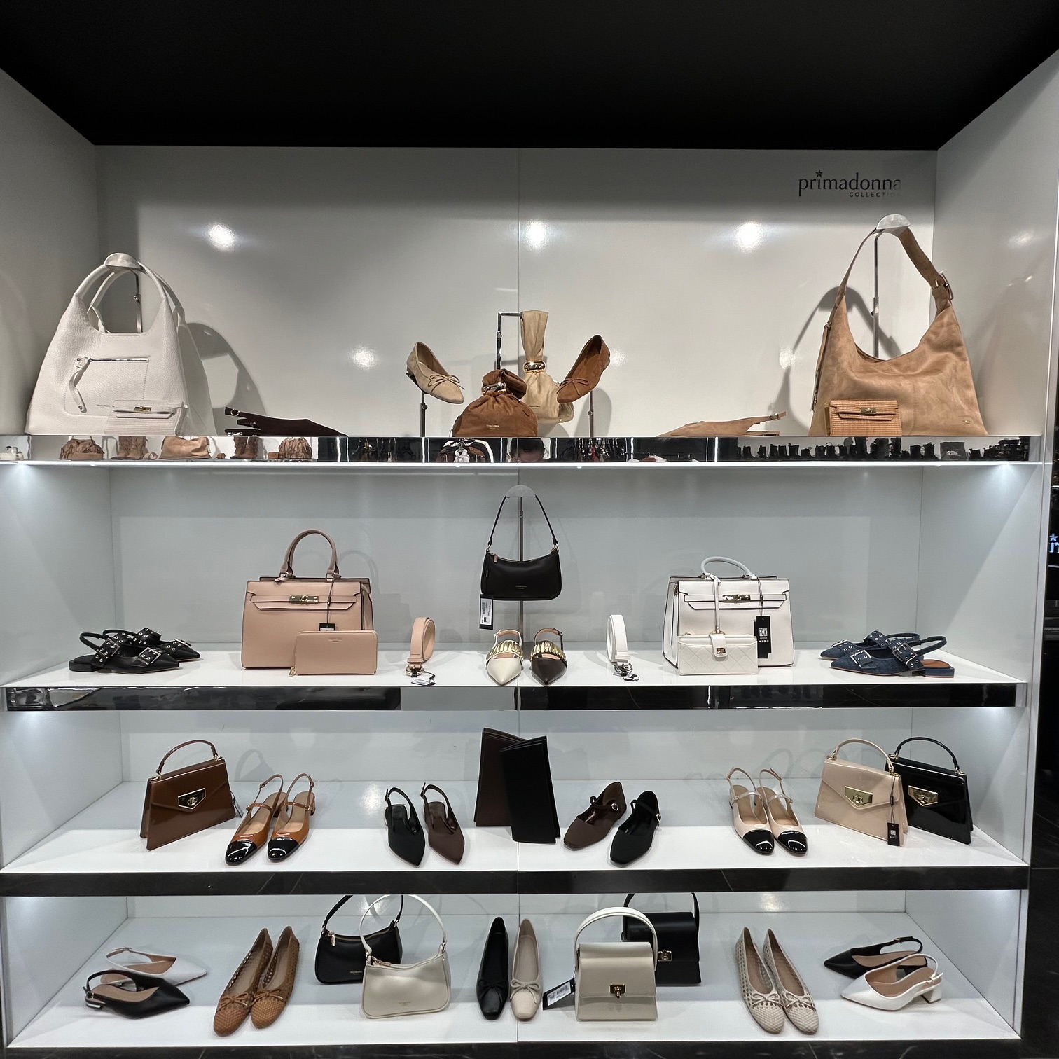 Primadonna Collection — 2