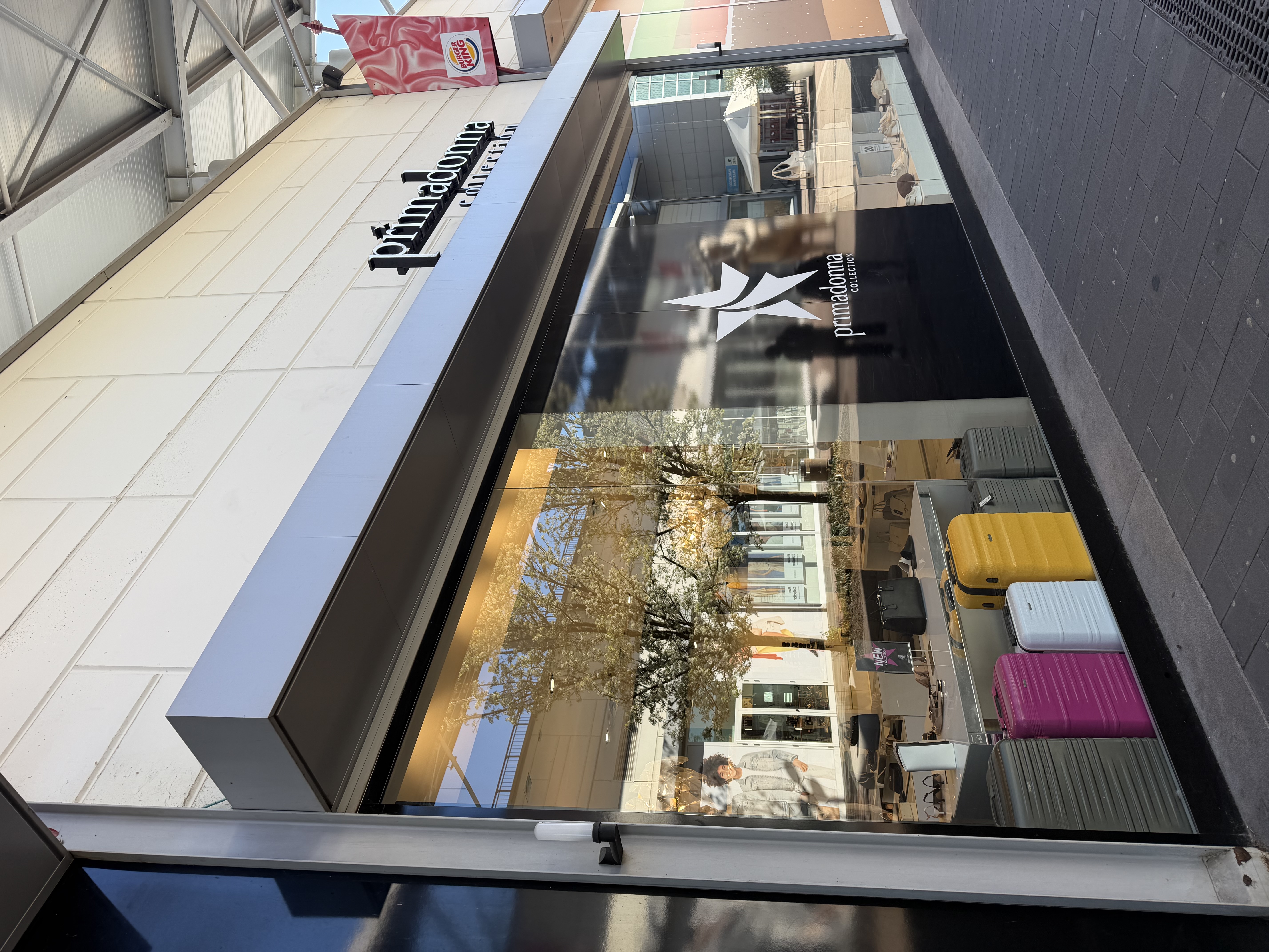 Primadonna Collection — 3